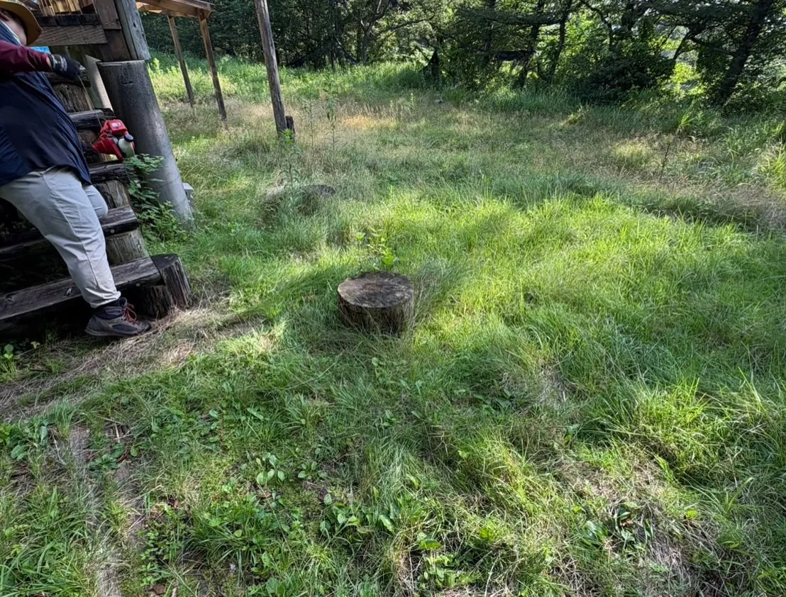 本日、夏期講習会のまとめとして模擬試験実施致しました！
